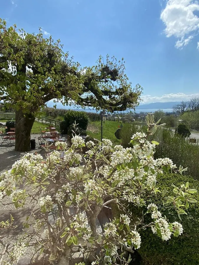 Hotel Montfort-Schloessle Lindau